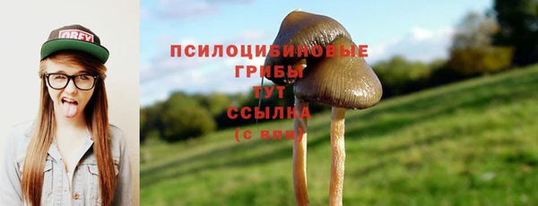 гидра Балабаново