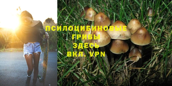 гидра Балабаново