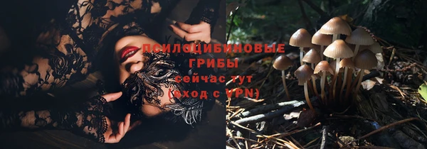 марки nbome Баксан
