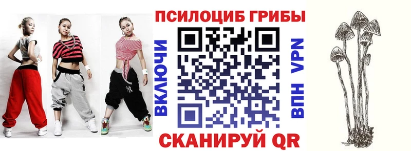 Псилоцибиновые грибы ЛСД  мега как войти  Барабинск  продажа наркотиков 